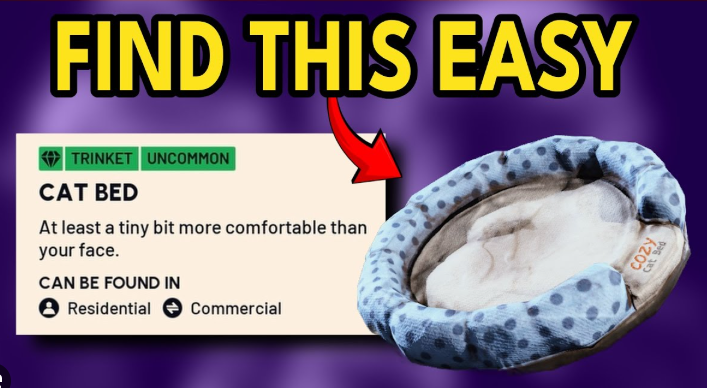 where to find cat bed arc raiders